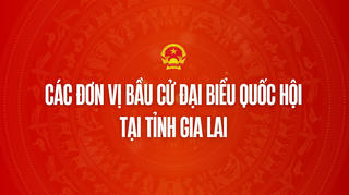 Infographic: Các đơn vị bầu cử đại biểu Quốc hội tại tỉnh Gia Lai