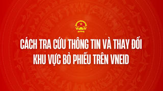 Infographic: Cách tra cứu thông tin và thay đổi khu vực bỏ phiếu trên VNeID