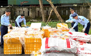 Phát hiện xe tải chở 2,6 tấn nội tạng không rõ nguồn gốc trên cao tốc Bắc - Nam