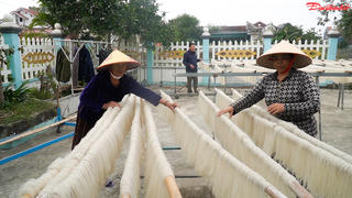 Người dân Thăng Bình sống khỏe nhờ nghề làm miến gạo