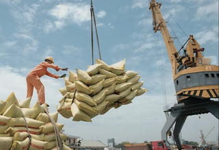 Khai thác thị trường mới cho ngành gạo