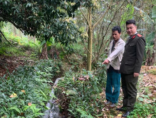 Phú Thọ: Xử phạt 107 triệu đồng cơ sở chăn nuôi gây ô nhiễm môi trường