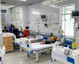 Số ca sốt xuất huyết cao, Cà Mau tăng cường phòng, chống