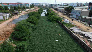 TP Hồ Chí Minh gỡ vướng dự án cải tạo kênh rạch