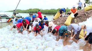 Quảng Ninh: Thả 5,4 triệu con giống tái tạo nguồn lợi thủy sản 