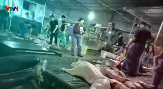 Toàn bộ trường học tại Hà Nội rà soát nguồn gốc thực phẩm sau vụ 300 tấn thịt lợn bẩn