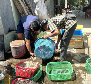 Bán tôm 'non' vì nắng nóng kéo dài