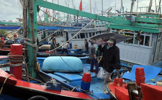 Truy xuất nguồn gốc thủy sản điện tử mới đạt 24,5%