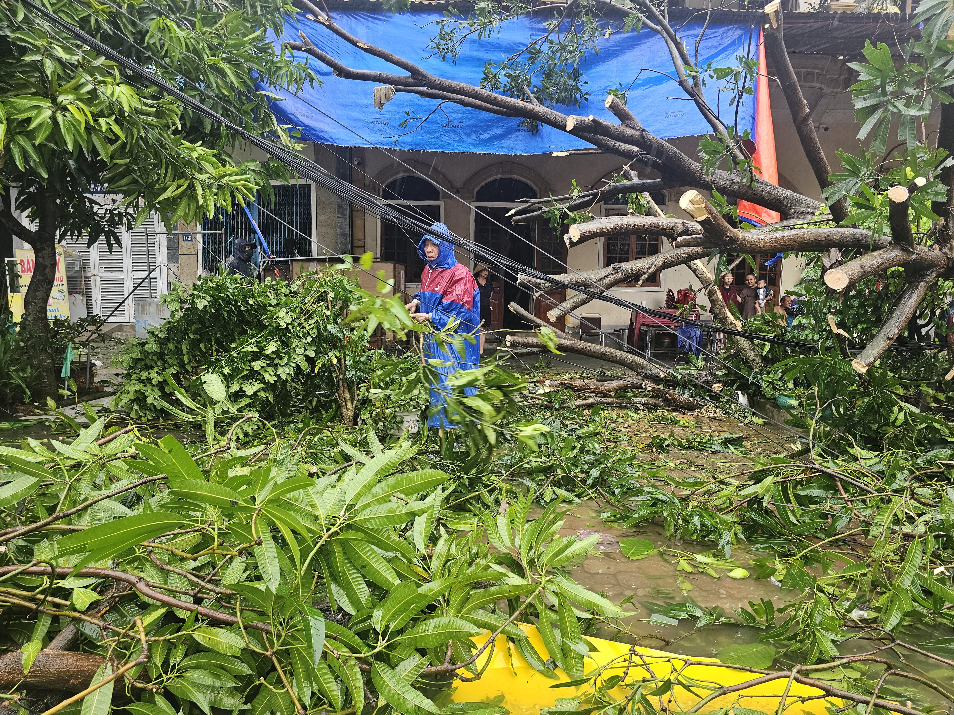 Sức gió giảm, người dân tranh thủ thu dọn cây gãy đổ trước nhà do bão số 10, cản trở sinh hoạt thường ngày của gia đình. Ảnh: Quốc Thanh 