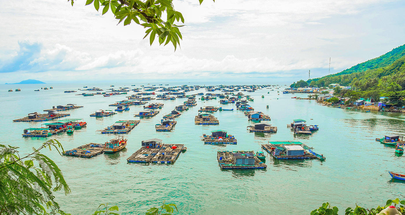 Hòn Nghệ là địa phương có số lượng lồng bè nuôi cá lớn nhất của An Giang. Từ xa nhìn lại, các lồng bè tập trung trông như trận Xích Bích trên biển. Ảnh Nguyễn Minh.