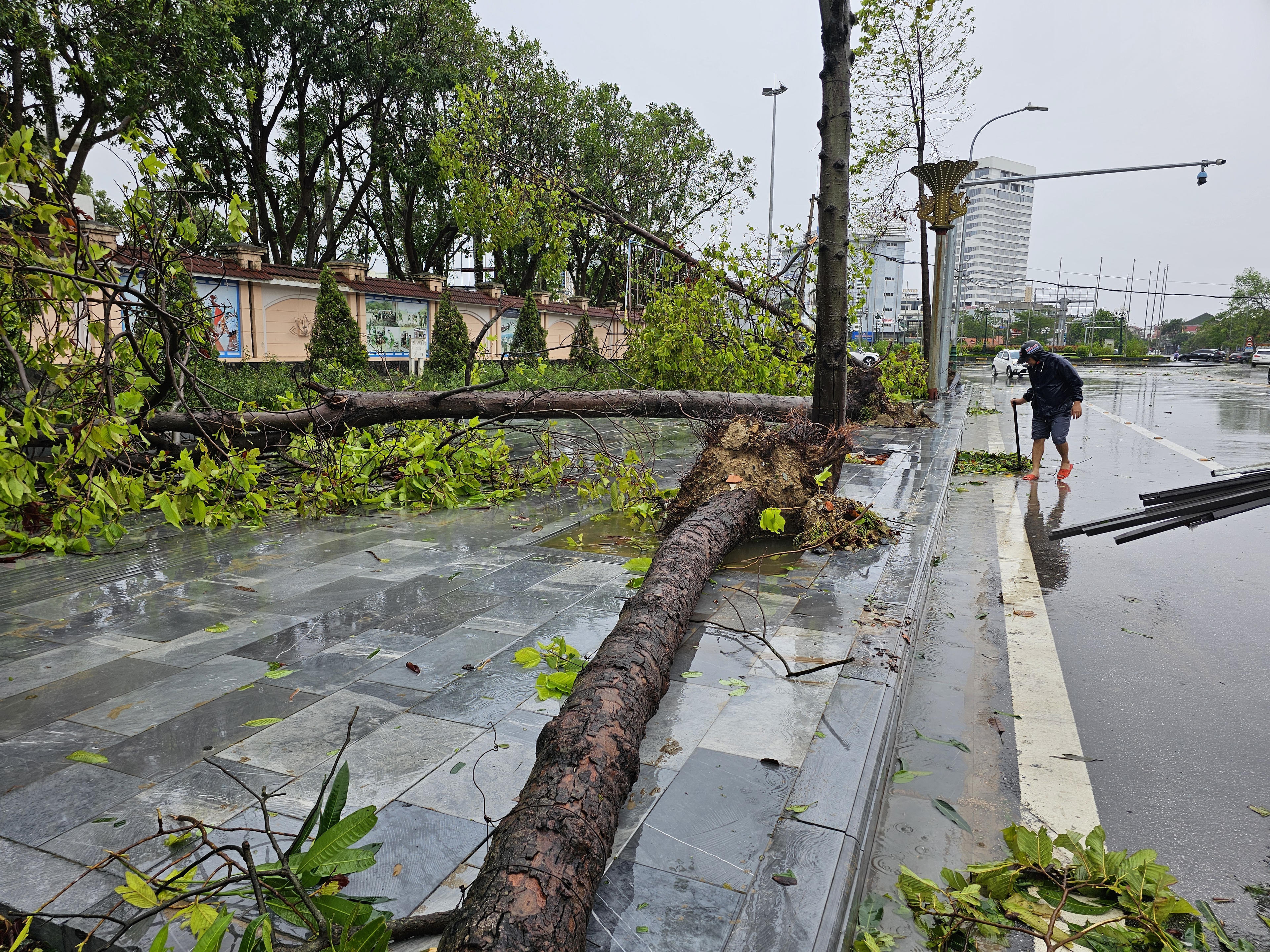 Phố Trường Thi (phường Trường Vinh, tỉnh Nghệ An) nhiều cây cối gãy đổ. Ảnh: Quốc Thanh.