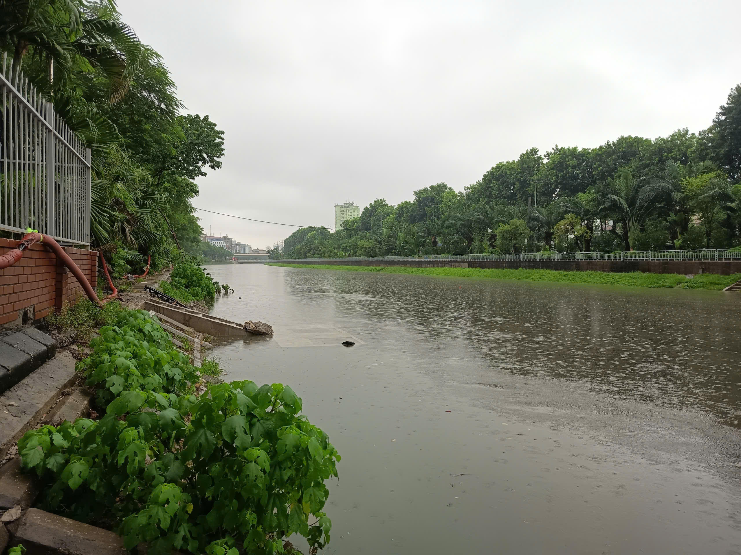 Mực nước sông Tô, đoạn chảy qua phường Yên Hòa lúc 9h sáng nay. Ảnh: Phạm Sỹ.