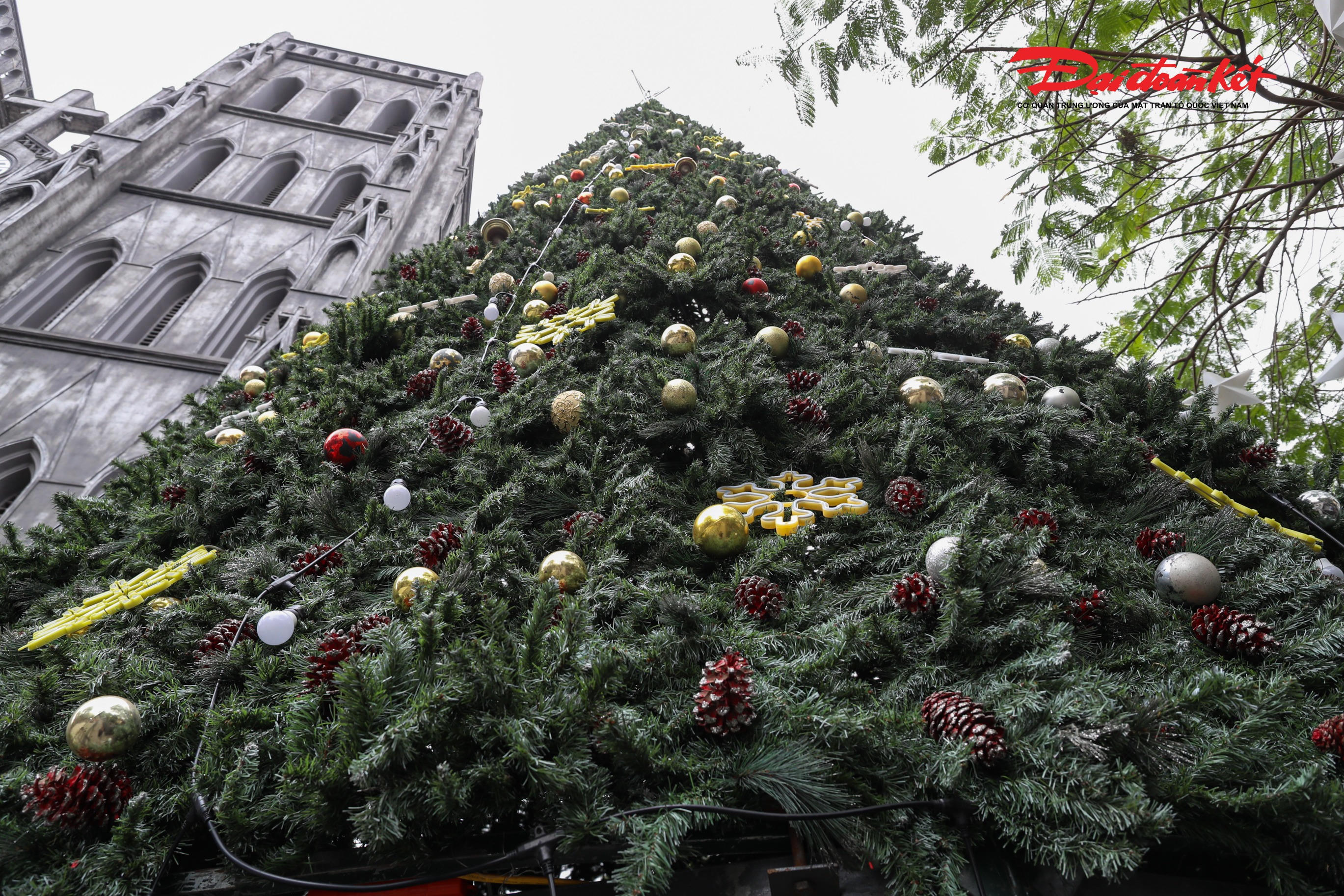 Không cần ánh đèn lung linh của buổi tối, vẻ đẹp cổ kính của nhà thờ kết hợp với sắc xanh của cây thông, sắc đỏ – trắng đặc trưng của Noel vẫn đủ tạo nên khung cảnh ấn tượng, thu hút du khách..