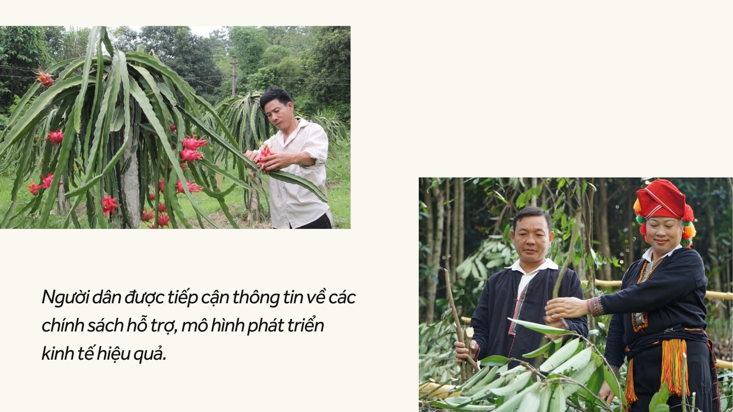 Giảm nghèo thông tin - "chìa khóa để giảm nghèo bền vững"