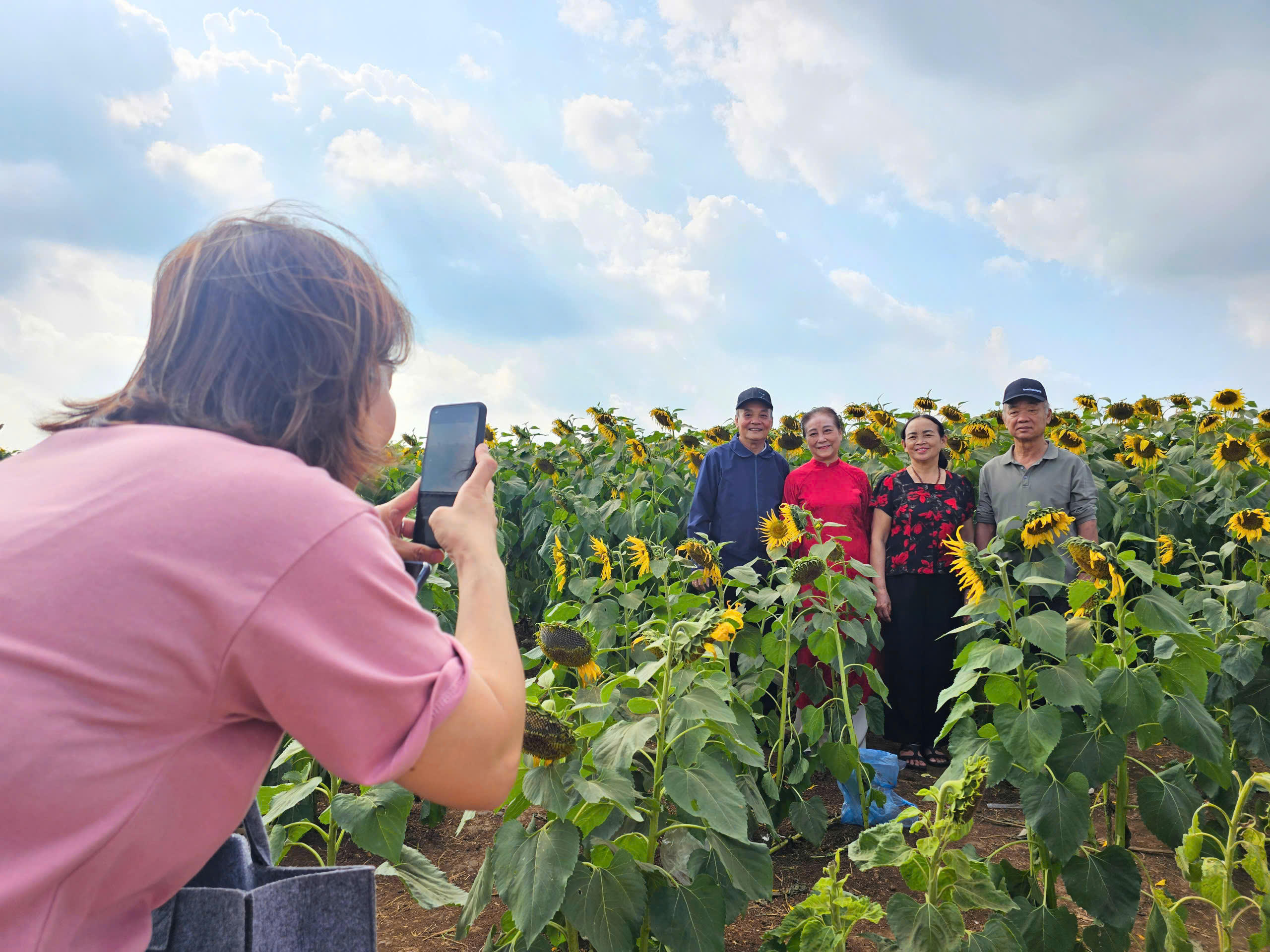 Bà Nguyễn Nhi, 73 tuổi, ở phường Trường Vinh, tỉnh Nghệ An cùng người thân chụp ảnh lưu niệm tại đồi hoa hướng dương. Lần đầu tiên đến đây bà và mọi người phấn khởi khi chứng kiến cả vườn hoa rộng lớn, đẹp và thoáng như vậy. Ảnh: QT