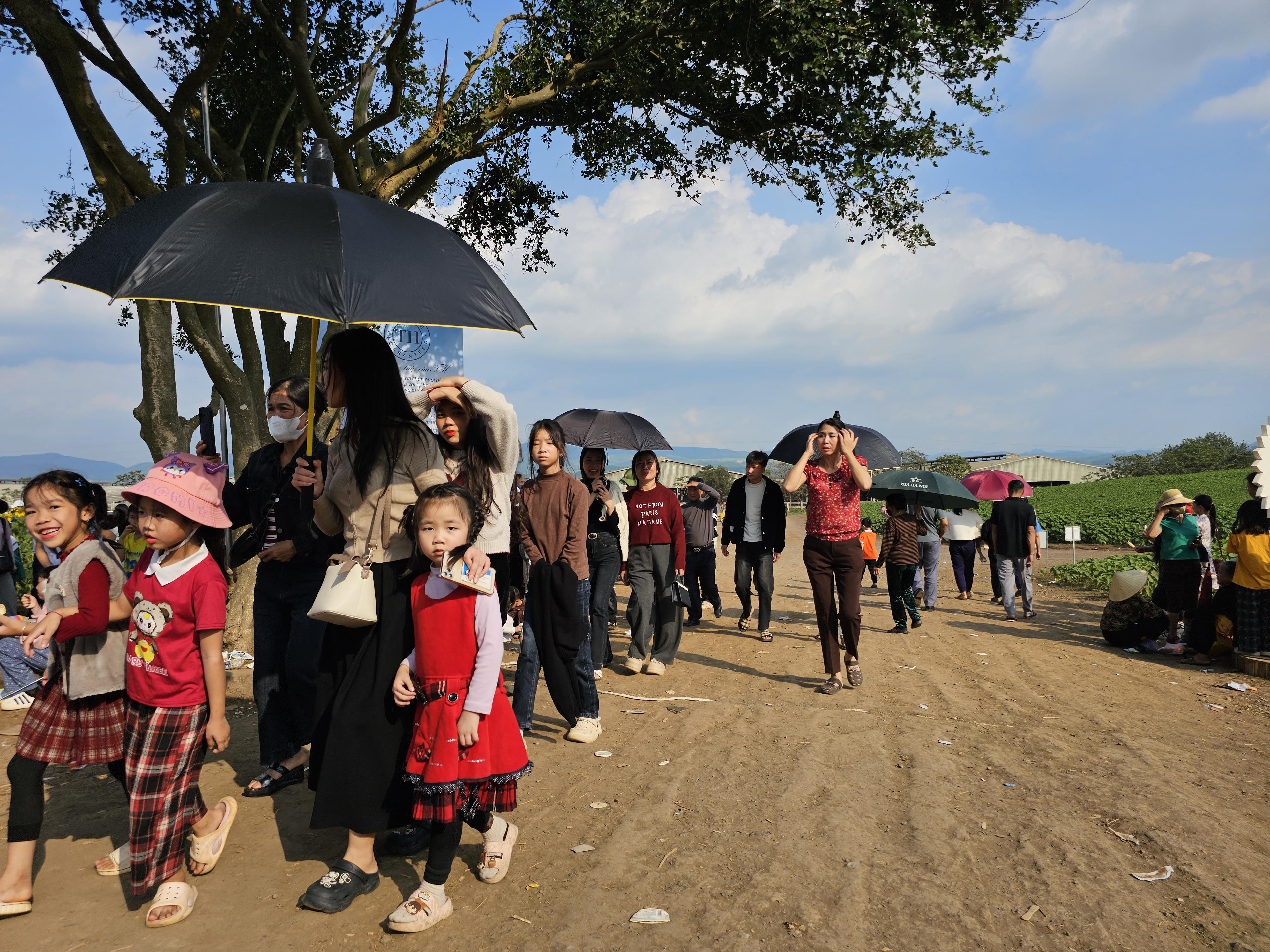 Đến chiều 1/1, lượng du khách đổ về đồi hoa hướng dương vẫn chưa có dấu hiệu dừng lại. Ảnh: QT