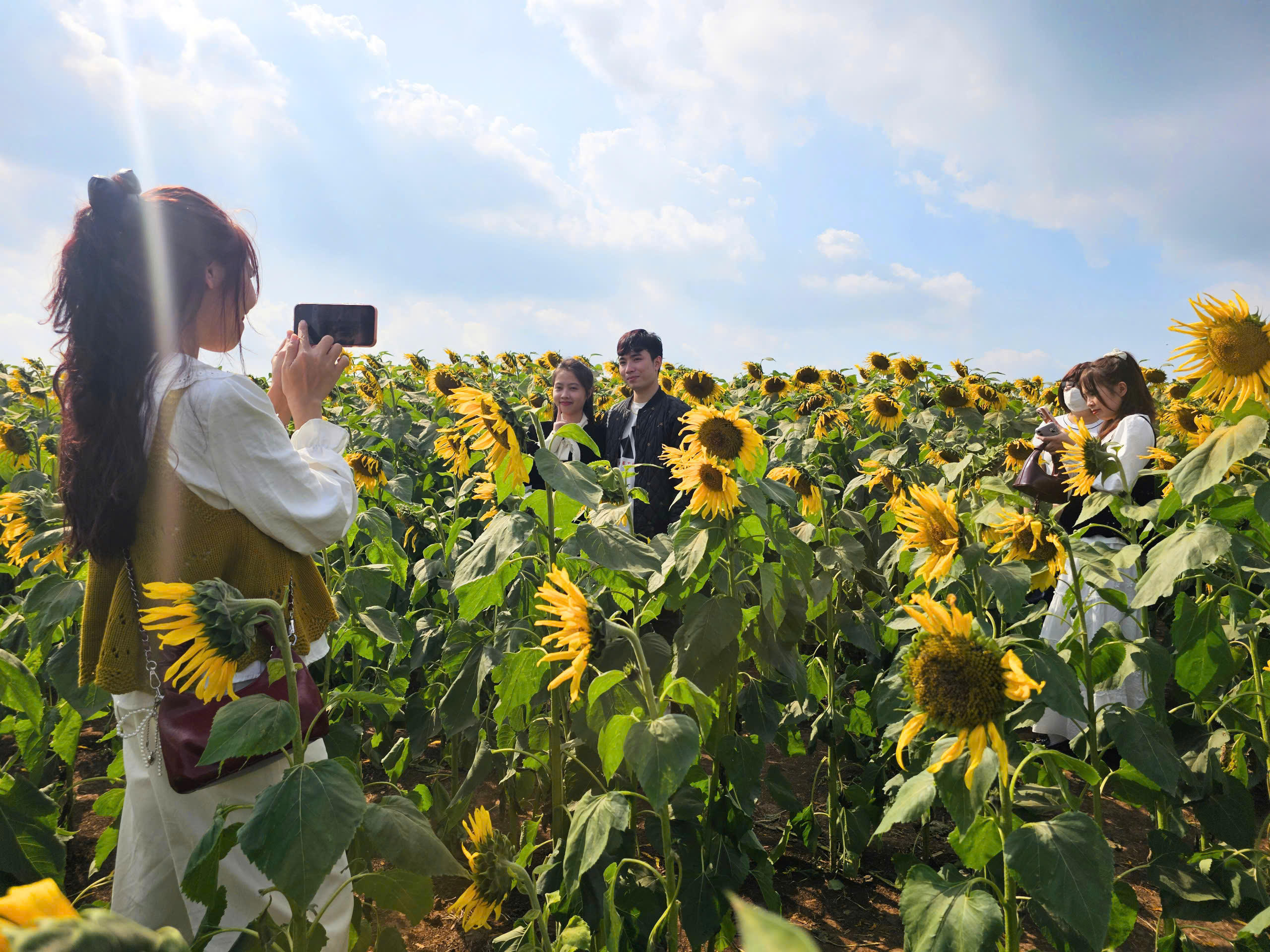Ngày đầu tiên của năm 2026, ghi nhận của phóng viên, hàng nghìn người tập trung về đây vui chơi, tham quan. Ngoài ngắm nhìn đồi hoa bát ngát, ai nấy tranh thủ lưu giữ lại khoảnh khắc ấn tượng bên người thân và bạn bè. Ảnh: QT