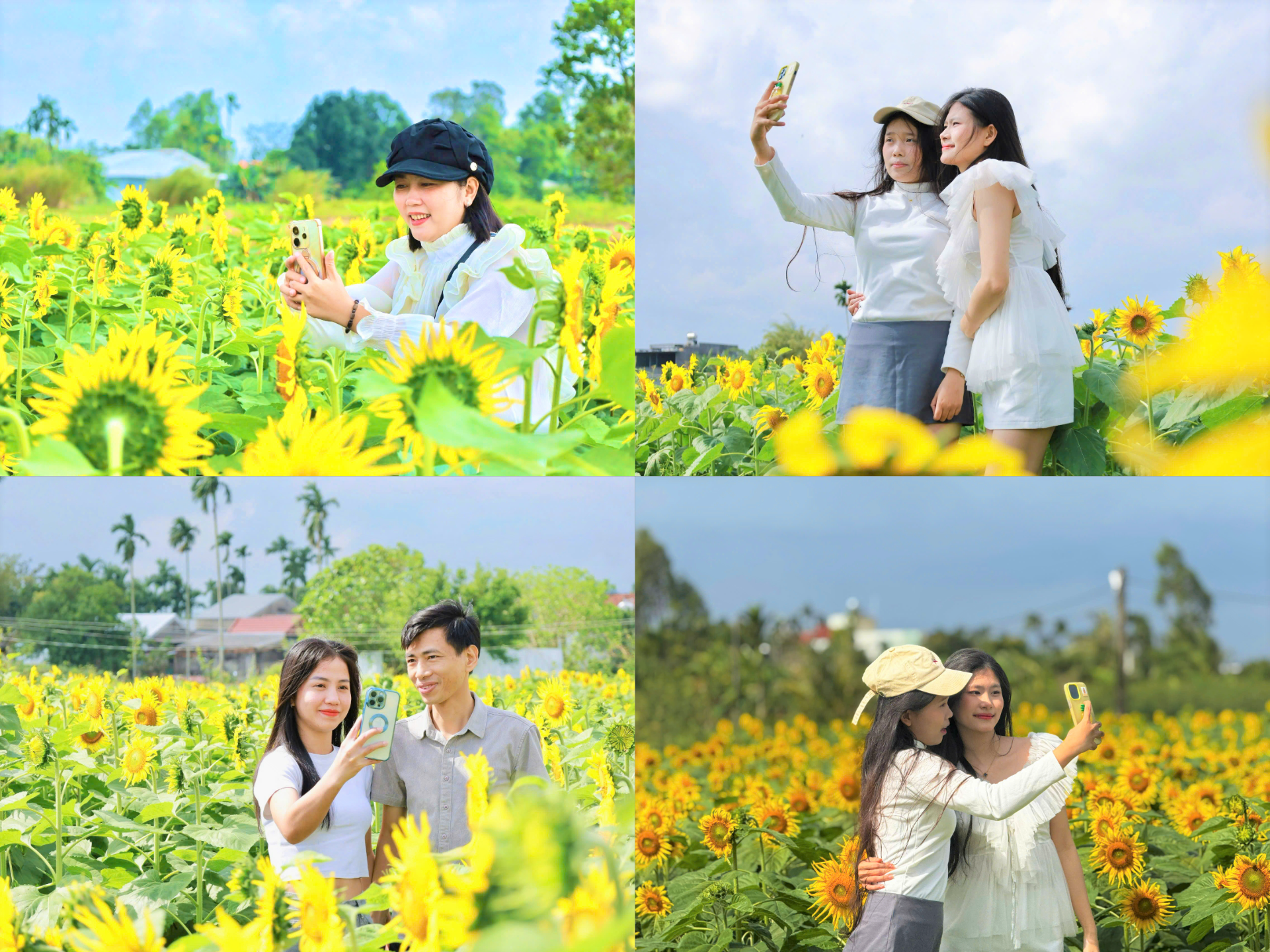 Khách tham quan check in bên cánh đồng hoa hướng dương ở xã An Phú. Ảnh: CV.