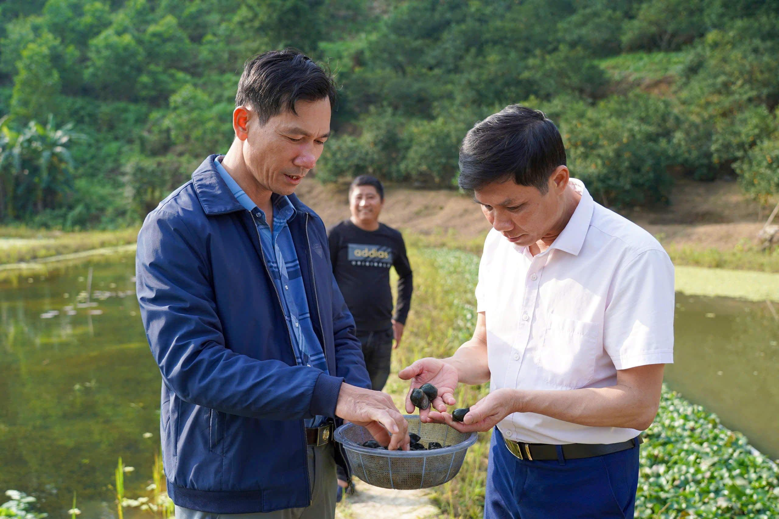 Chính quyền địa phương đang phối hợp với các đoàn thể hướng dẫn người dân thực hiện đúng quy trình kỹ thuật, hạn chế phát triển tự phát. Ảnh: Cẩm Kỳ&nbsp;