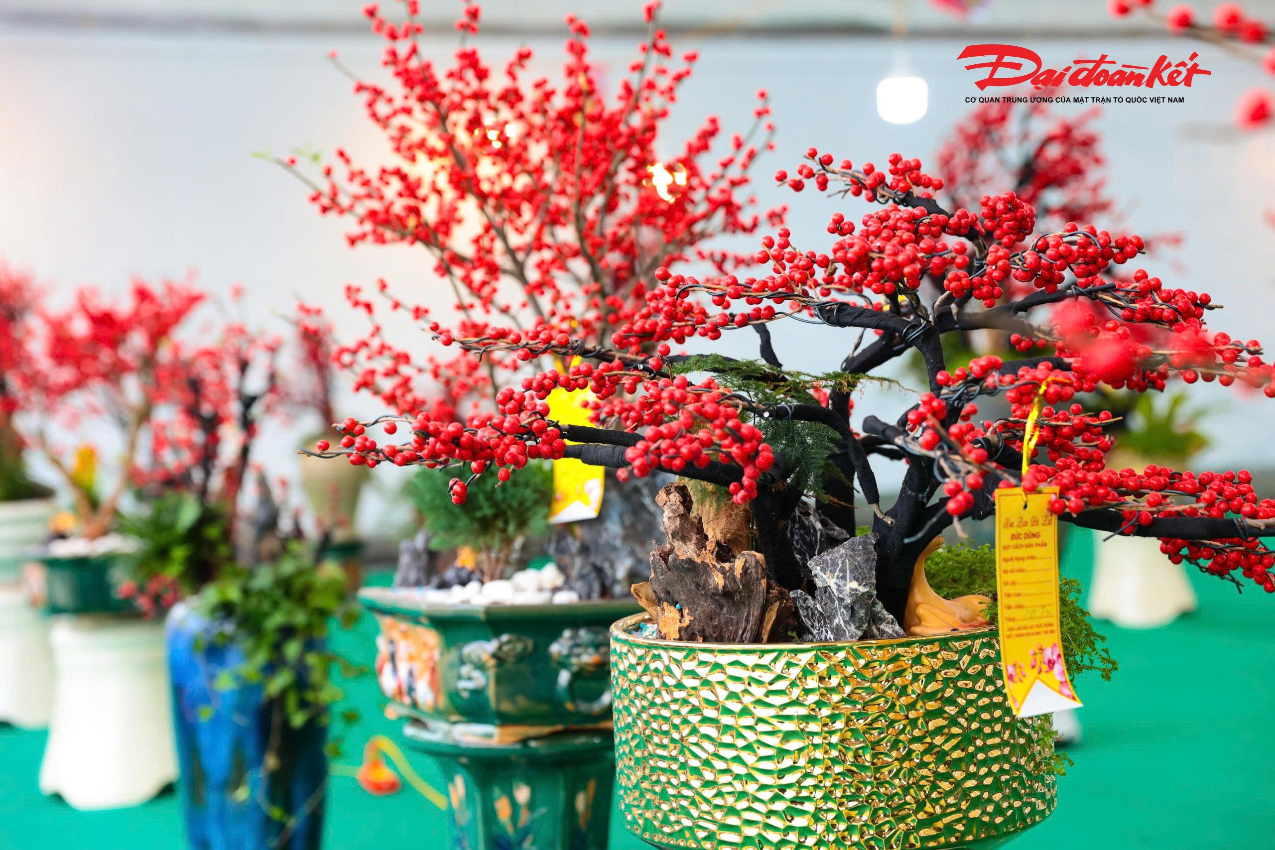 Màu đỏ tượng trưng cho may mắn, tài lộc và hạnh phúc, vì vậy đào đông đỏ được nhiều người lựa chọn để trưng bày trong không gian phòng khách, sảnh lớn, khách sạn hay biệt thự trong dịp Tết.