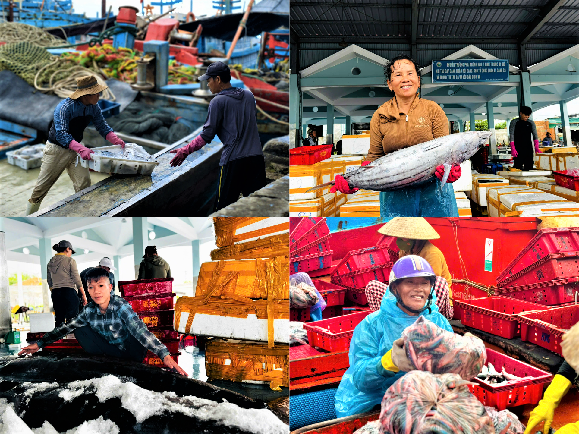 Một góc ngư dân đưa hải sản lên bờ bán cho thương lái. Ảnh: CV.