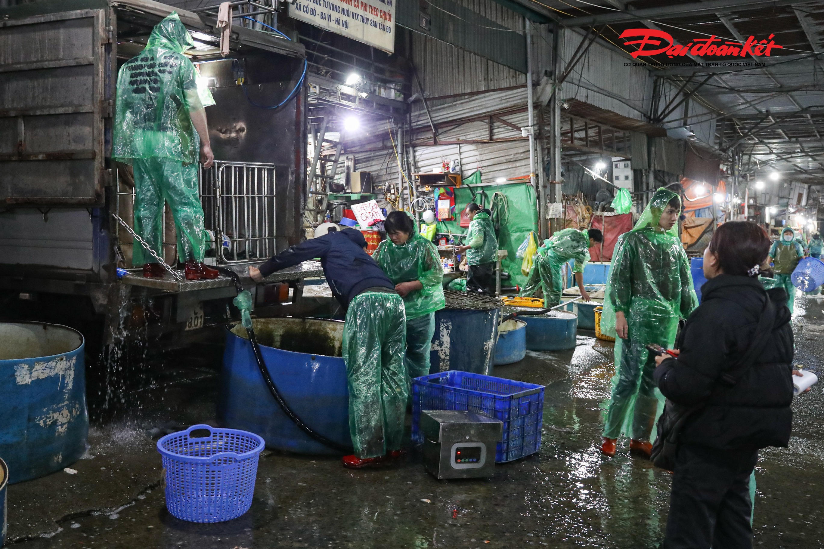 Chia sẻ với PV, bà Thu Lý bán cá ở chợ Yên Sở cho hay,&nbsp;mọi năm thời điểm này chợ tấp nập cả ngày lẫn đêm. Nhưng năm nay sức mua giảm hẳn nên thương lái cũng dè dặt khi thu gom.