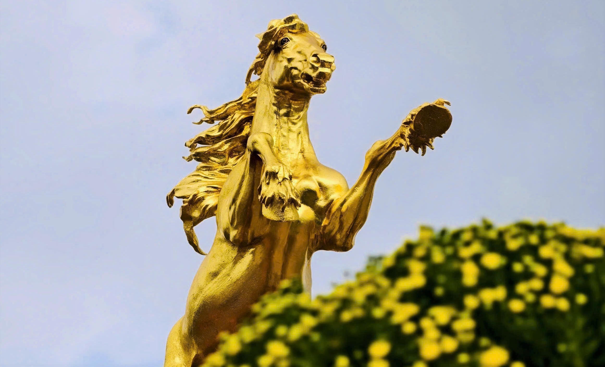 Linh vật ngựa vàng ở Quảng Ngãi. Ảnh: CV.