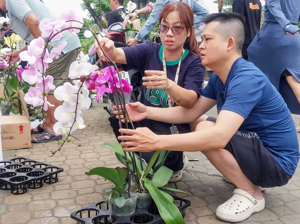 TP Hồ Chí Minh: Rực rỡ sắc xuân tại các chợ hoa trung tâm