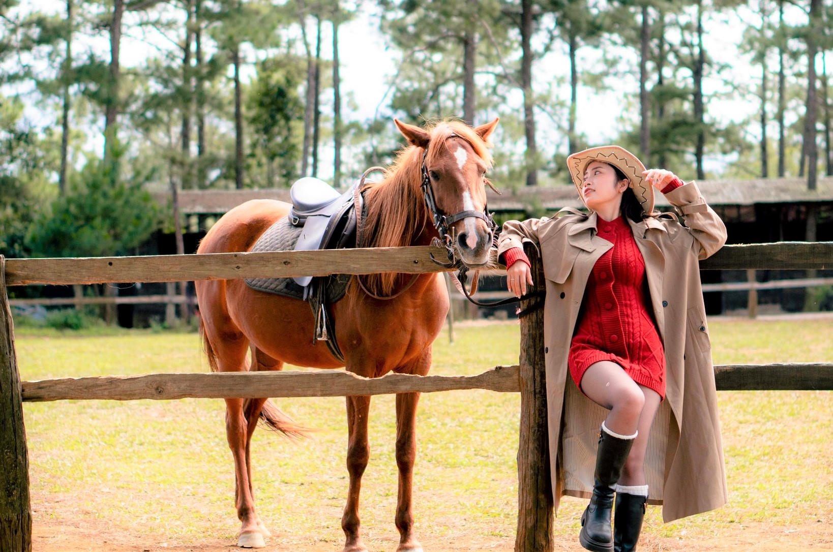 Những cô gái check in bên chú ngựa. Ảnh: CV.