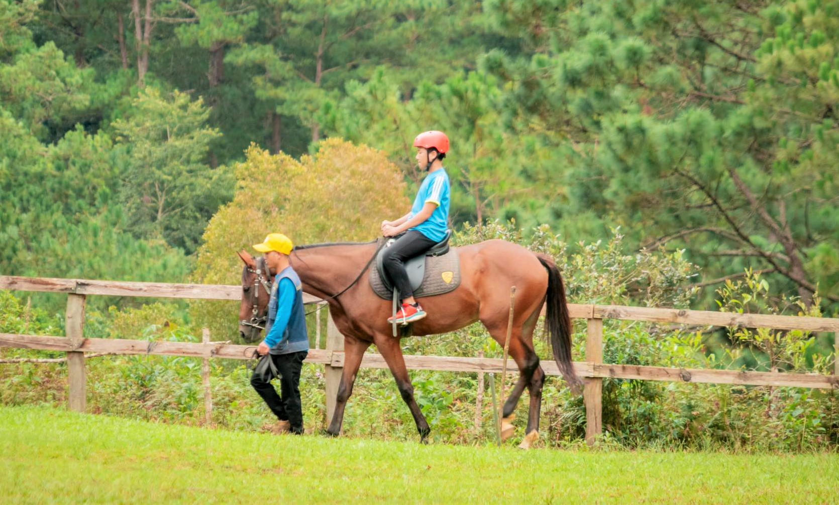 Dịp Tết nguyên đán năm 2026, rất nhiều người thích thú cưỡi ngựa đầu năm mới 2026. Ảnh: CV.