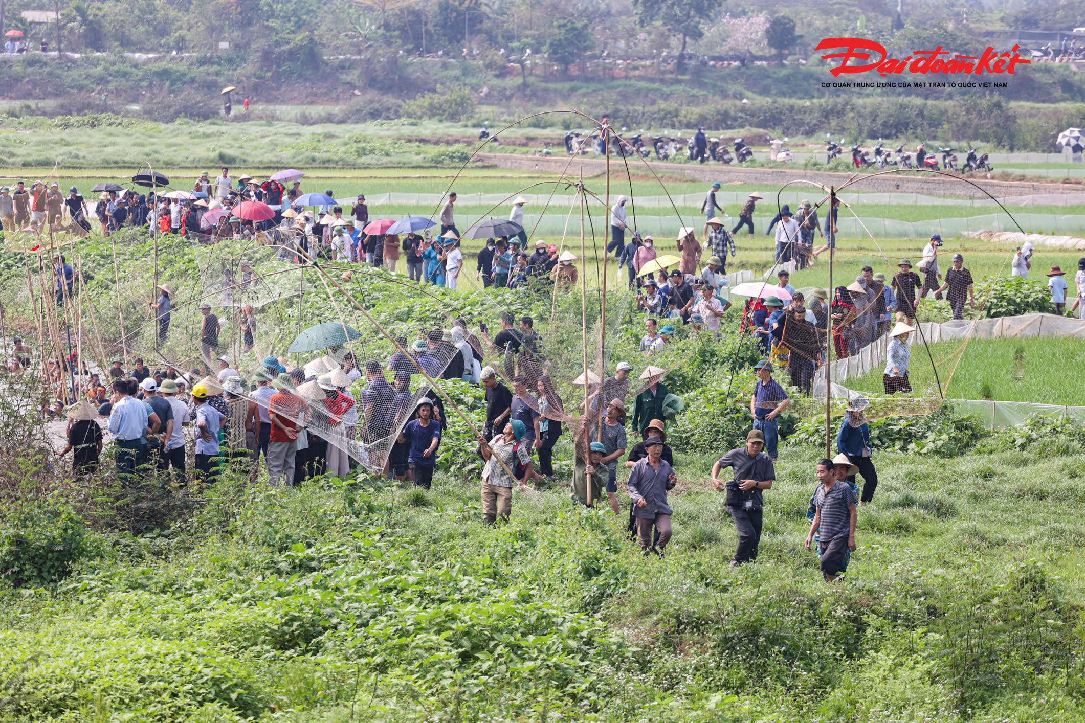Hằng năm, vào ngày 14 tháng Giêng, trong lễ hội đình làng Tường Phiêu, người dân thôn Tích Giang (Phúc Thọ, Hà Nội) lại tổ chức nghi thức bắt cá trên sông để tưởng nhớ tiền nhân, cầu mong mưa thuận gió hòa, mùa màng bội thu và gắn kết tình làng nghĩa xóm.