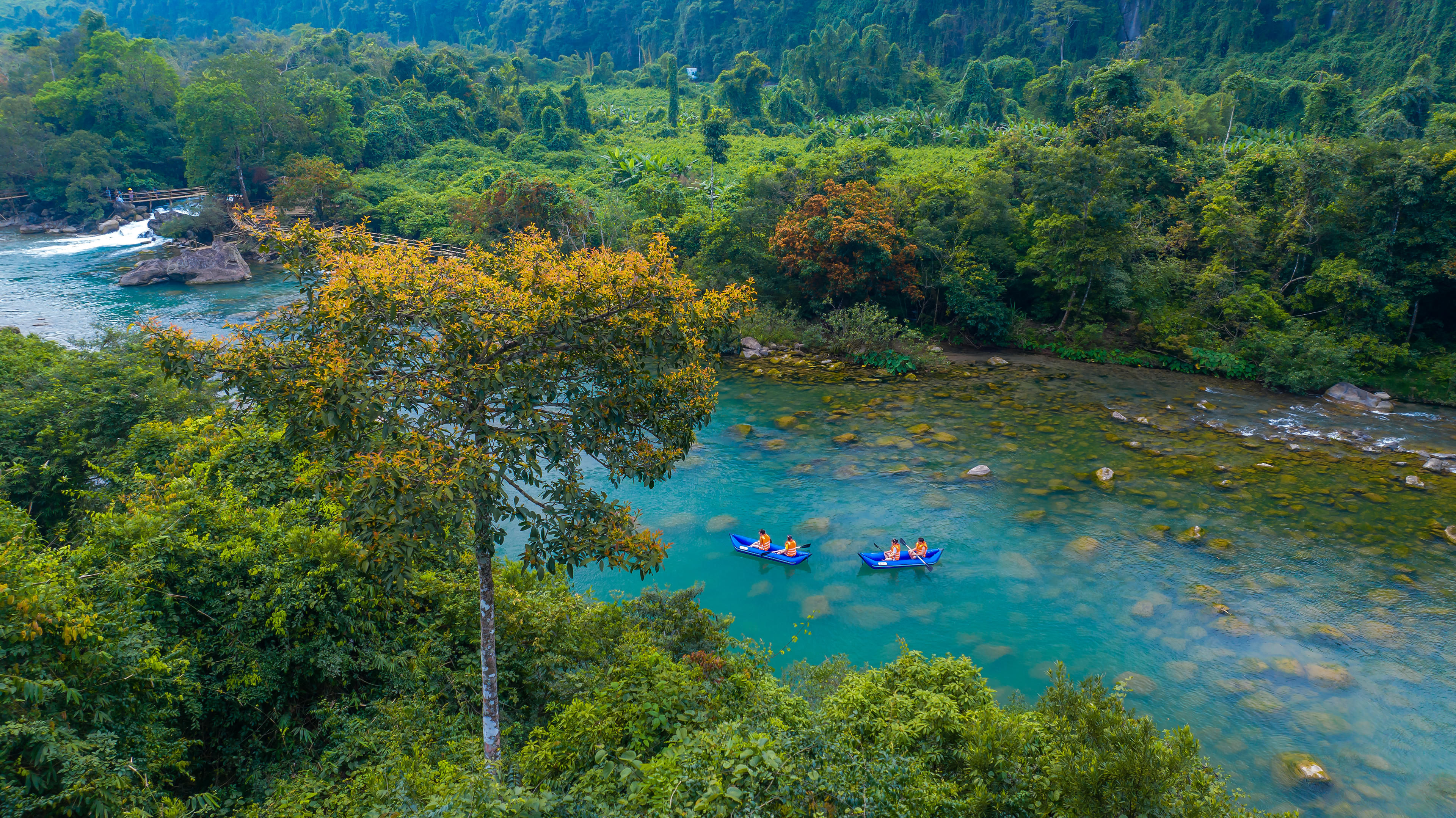 Việc hoa nở đồng loạt tạo thêm điểm nhấn cho chuyến tham quan, nhất là đối với nhóm khách trẻ.