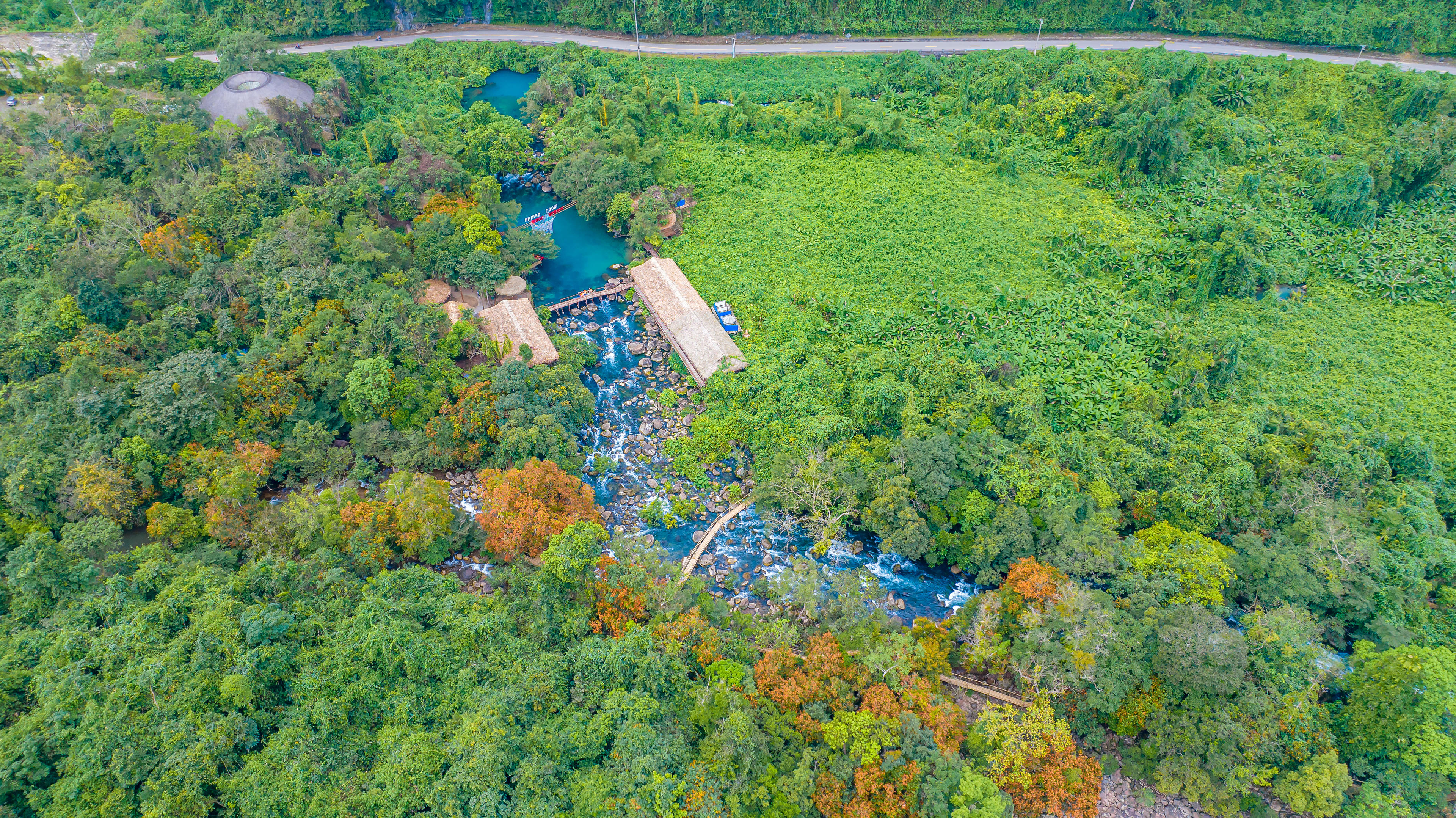 Toàn cảnh suối Moọc nhìn từ trên cao, khu vực rừng tự nhiên và hệ thống suối tạo điều kiện cho hoa Vàng Anh sinh trưởng, phát triển.