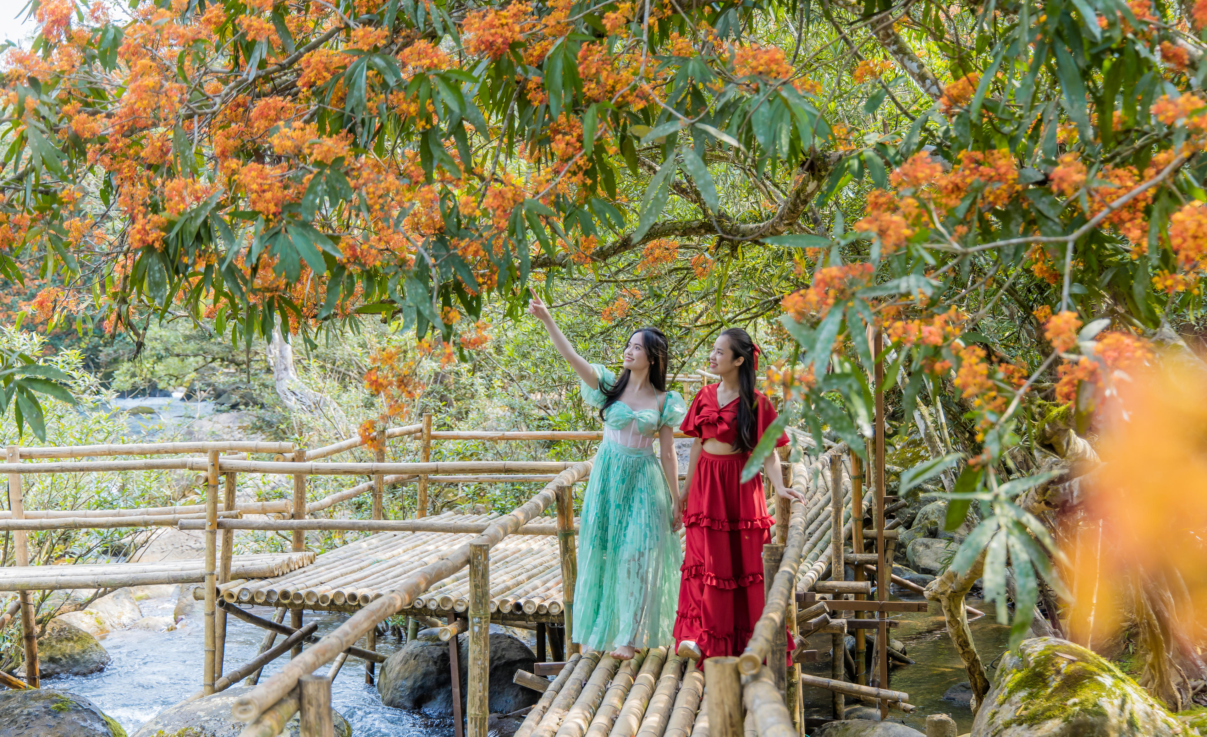 Mùa hoa Vàng Anh là thời điểm thu hút đông khách đến trải nghiệm.