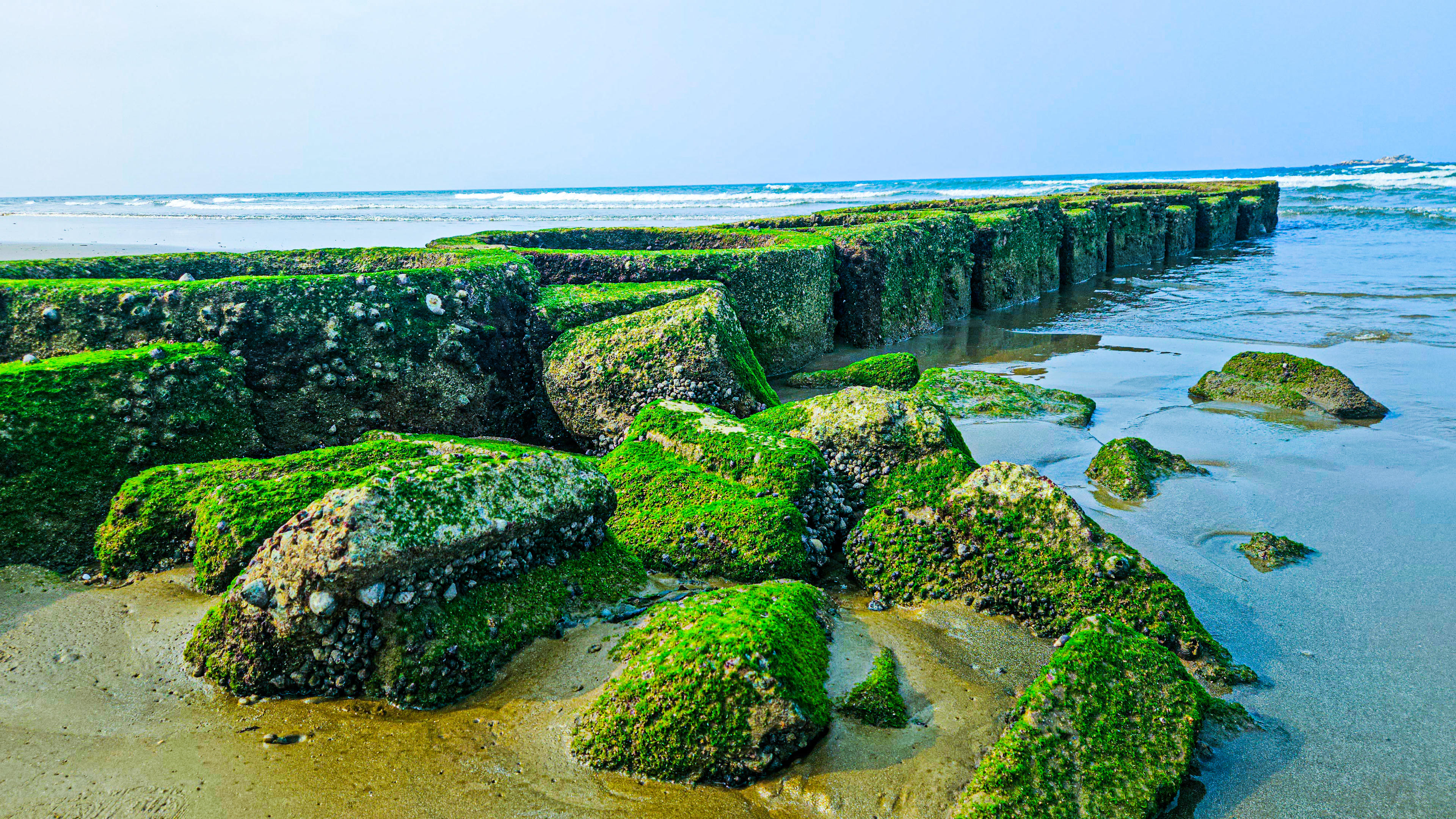 Những kè đá phủ rêu xanh lộ diện khi thủy triều rút tại bãi biển Thiên Cầm được nhiều người ví như “Rạn Nam Ô” nổi tiếng ở Đà Nẵng. Ảnh: Cẩm Kỳ&nbsp;