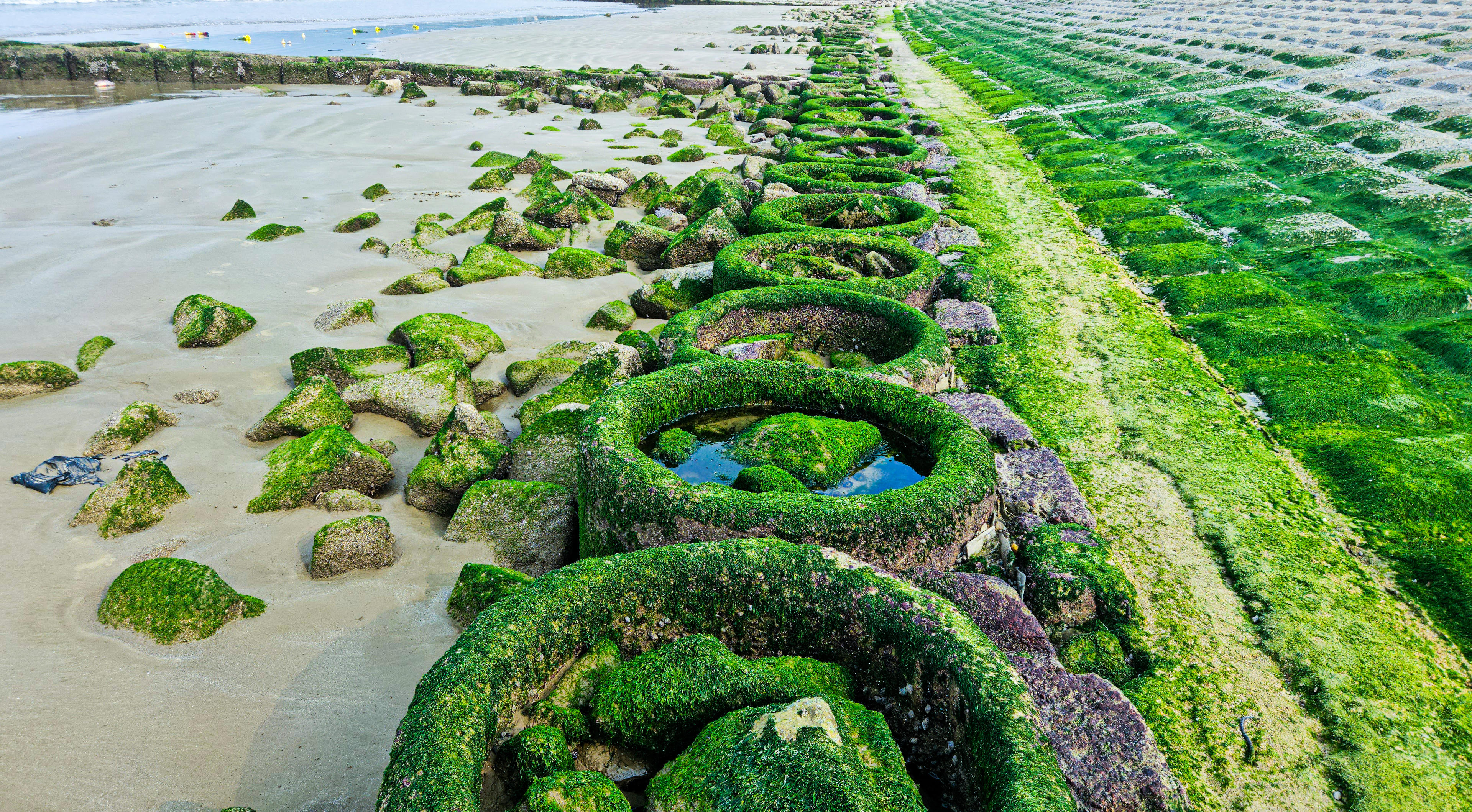 Ngoài biển xanh, cát trắng, bãi rêu tạo thêm trải nghiệm, thu hút du khách tham quan, chụp ảnh. Ảnh: Cẩm Kỳ&nbsp;