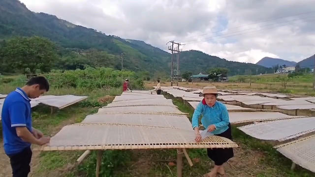 Clip: Xem người Sán Chỉ ở Bình Liêu làm miến dong