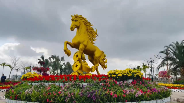 Hải Phòng: Rực rỡ trước thềm Xuân mới Hải Phòng: Rực rỡ trước thềm Xuân mới